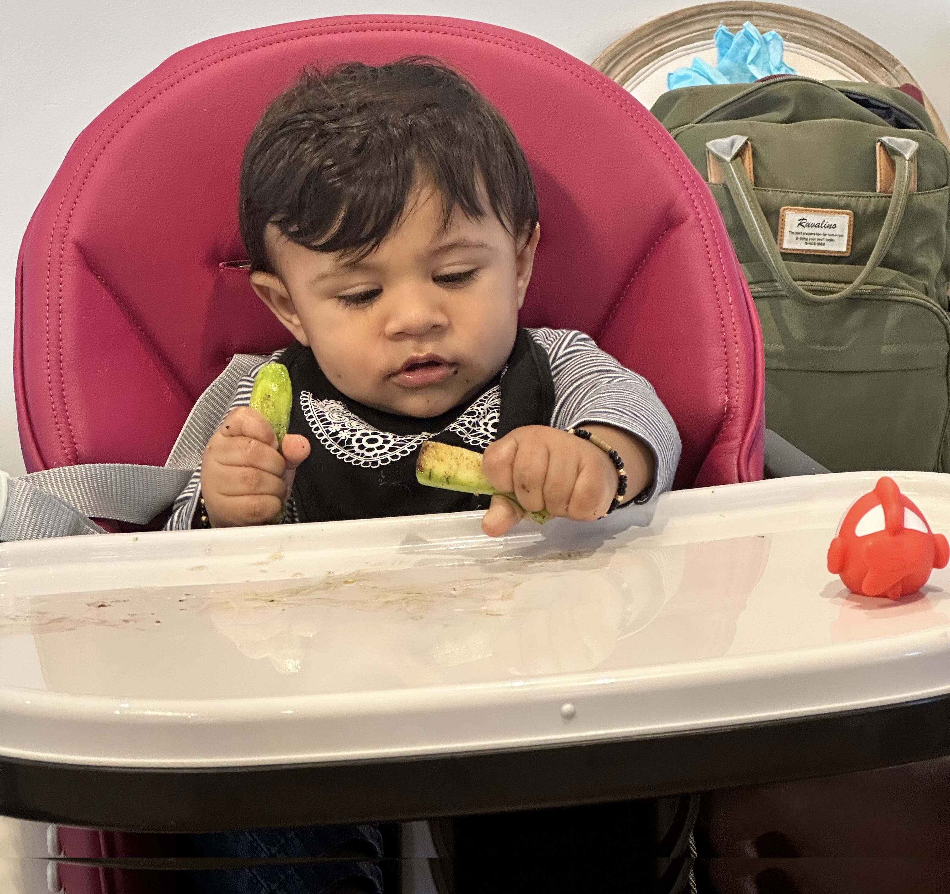 Best High Chairs in Canada 2025 | Premium to Budget Picks